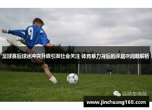足球赛后球迷冲突升级引发社会关注 体育暴力背后的深层次问题解析